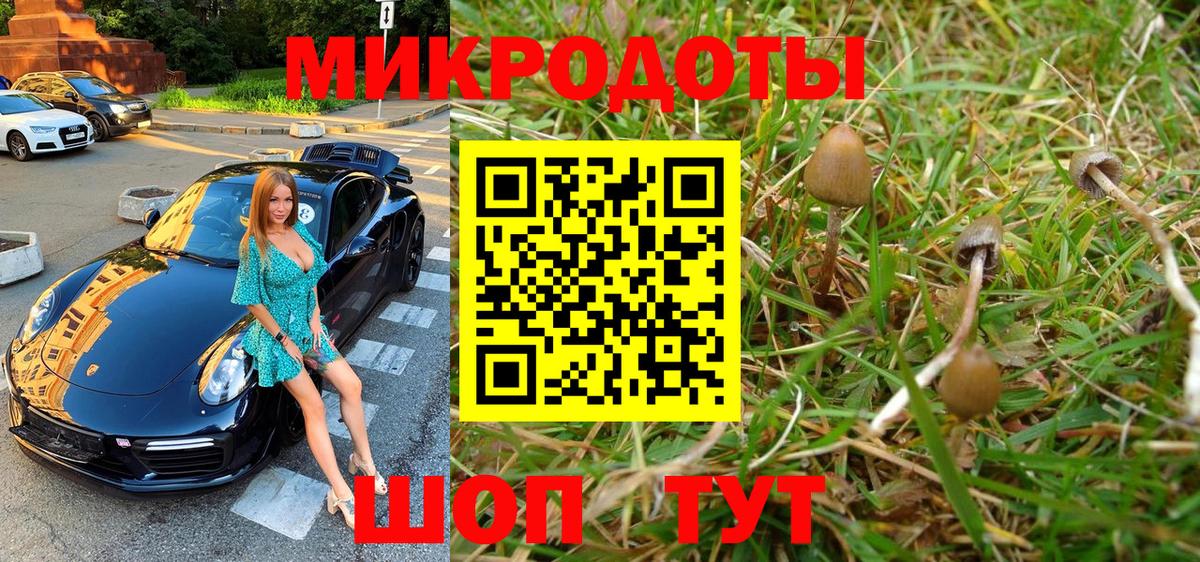 Галлюциногенные грибы прущие грибы Екатеринбург