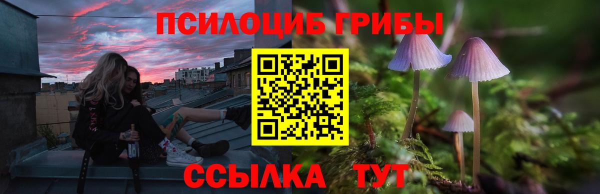 Екатеринбург  Галлюциногенные грибы GOLDEN TEACHER  Вход с VPN 